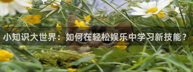 海棠御书屋小说