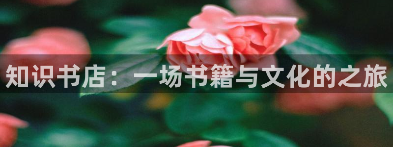 御宅书御书屋入口