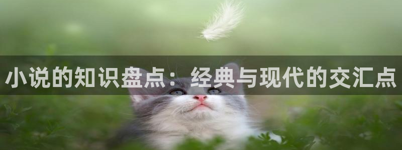 海棠书屋新御宅屋御书屋下载